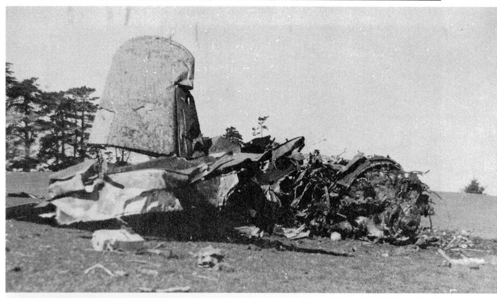 Two RNZAF Aircraft's Crash Photos Sought Wings Over New Zealand